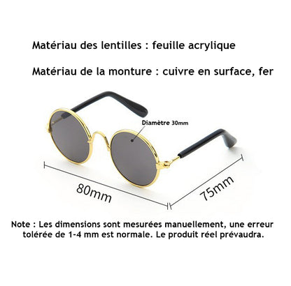 Lunettes pour chien - CoolDog™