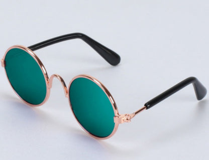 Lunettes pour chien - CoolDog™