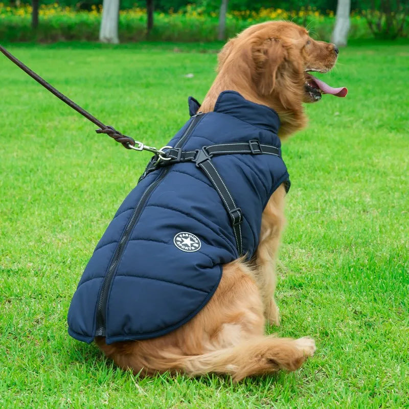 Manteau Chien - WinterStop™