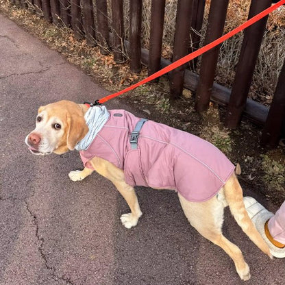 Manteau pour chien - CutieRainDog™
