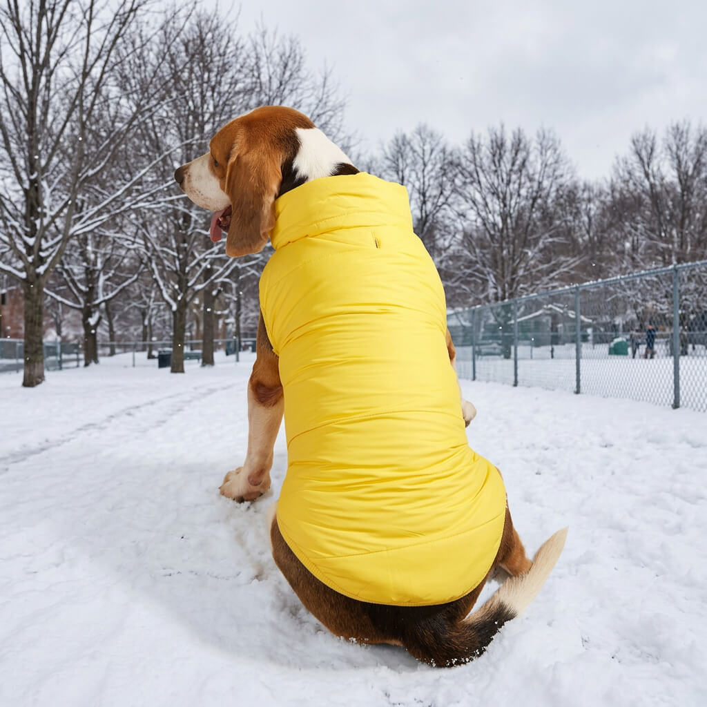Manteau pour chien - HotPadJacket™