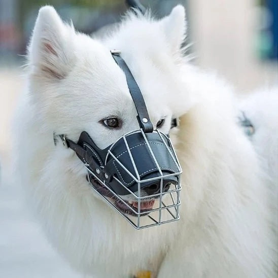 Muselière pour chien - NoBiteDog™