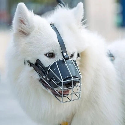 Muselière pour chien - NoBiteDog™