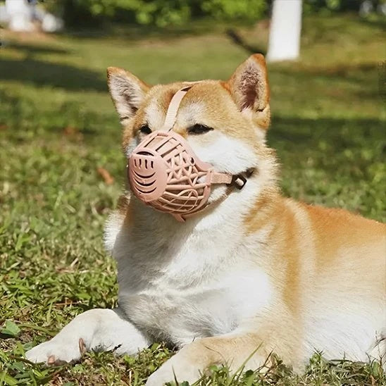 Muselière pour chien - SecureDog™