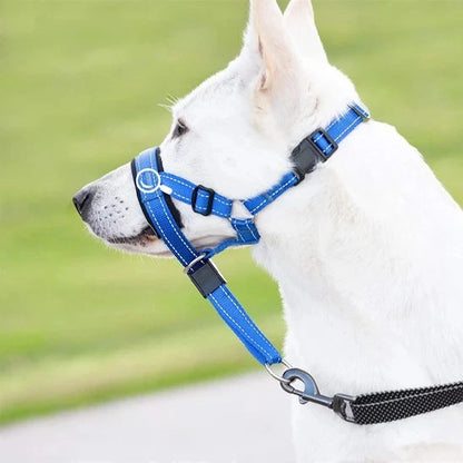 Muselière chien - SupremeConfort™