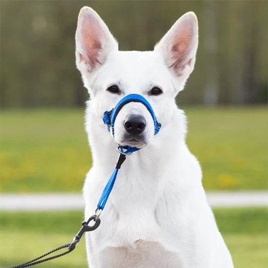 Muselière chien - SupremeConfort™