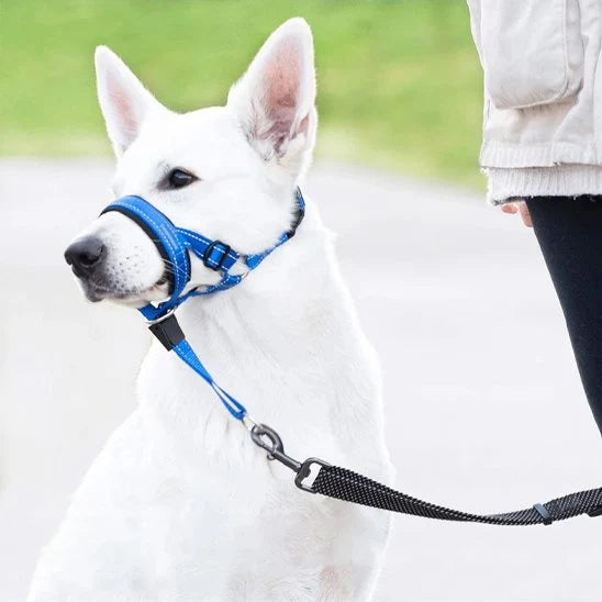 Muselière chien - SupremeConfort™