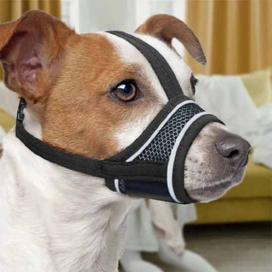 Muselière pour chien - RespirantKnitted™