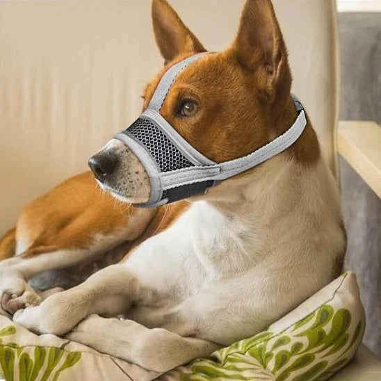 Muselière pour chien - RespirantKnitted™