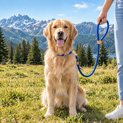 laisse chien lasso - EasyWalk™