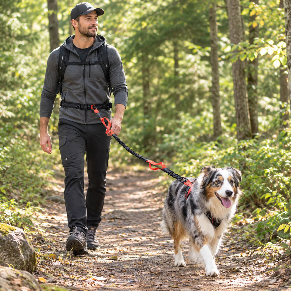 laisse pour chien a la taille - La Bella™ balade en forêt
