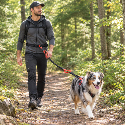 laisse pour chien a la taille - La Bella™ balade en forêt