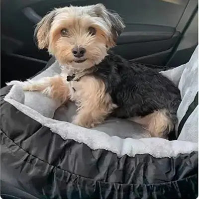 Siege Auto pour Chien - PetCarSeat™ - Noir