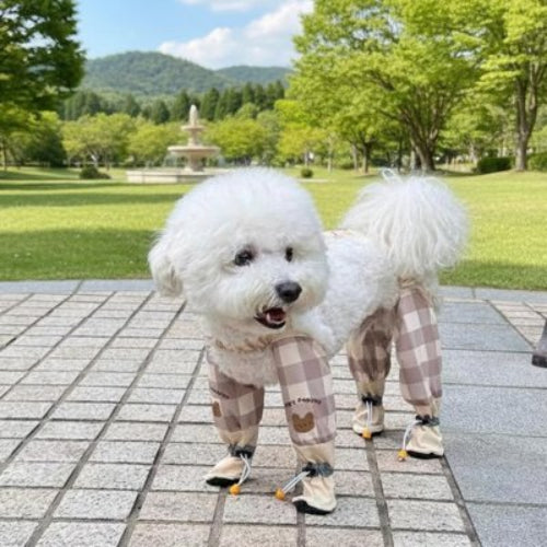 Bottes pour Chien - AllSeasons™ - Ma Promenade avec Toutou