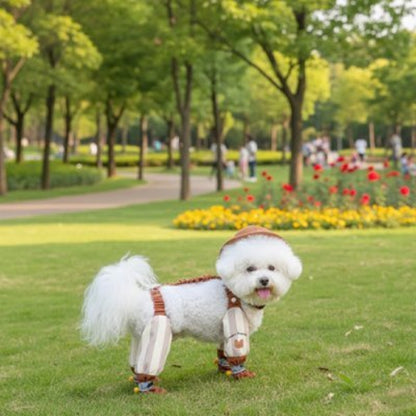 Bottes pour Chien - AllSeasons™ - Ma Promenade avec Toutou