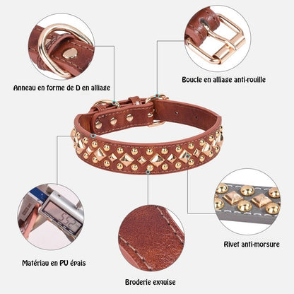 Collier chien - Le Majestik™