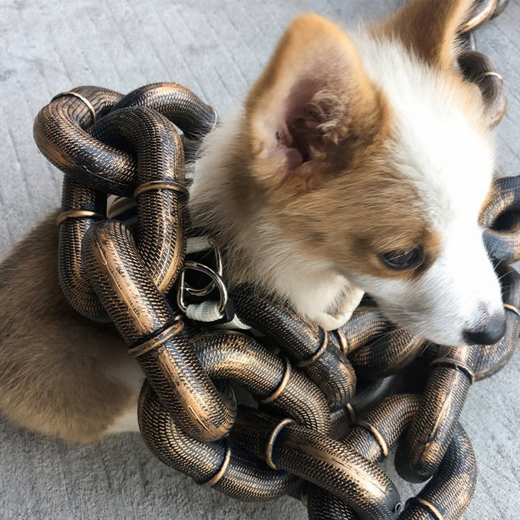 chaine enroulee autour du chien