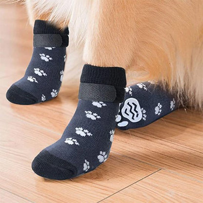 Chaussettes pour chien - CuttieSocks™