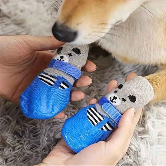 Chaussure chien - CuttieTeddy™ - Ma Promenade avec Toutou