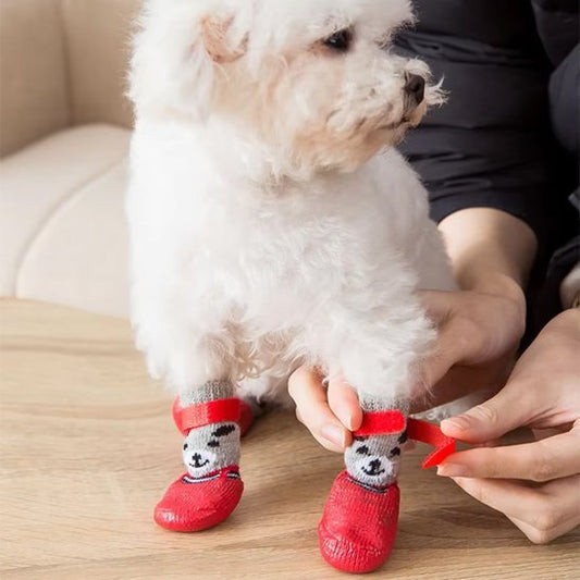 Chaussure chien - CuttieTeddy™ - Ma Promenade avec Toutou
