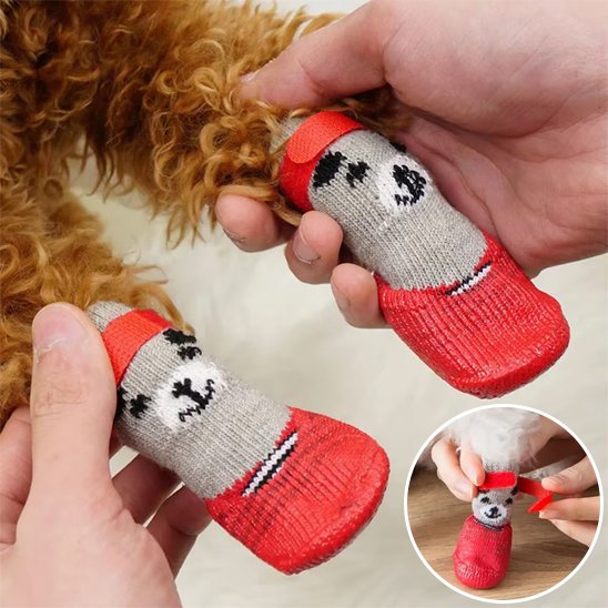 chaussure chien - CuttieTeddy™