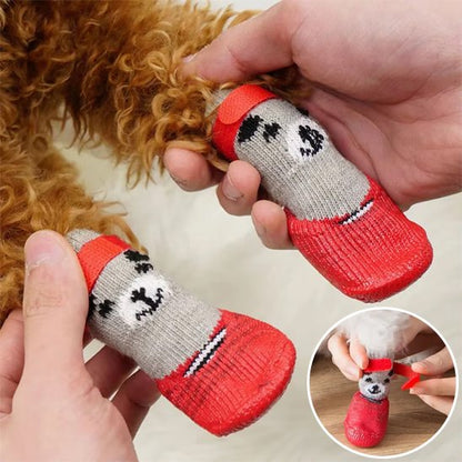 chaussure chien - CuttieTeddy™