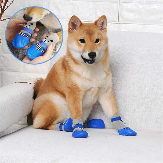 chaussure chien - CuttieTeddy™