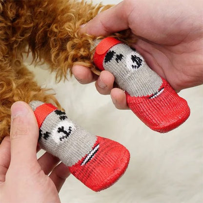 chaussure chien - CuttieTeddy™