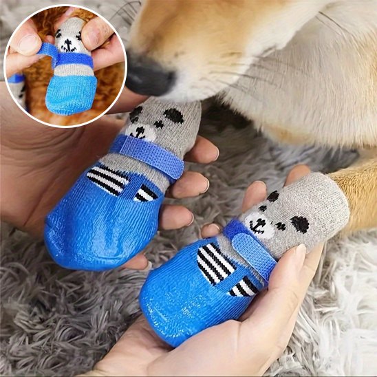 chaussure chien - CuttieTeddy™