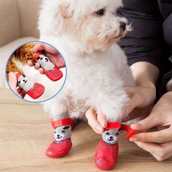 chaussure chien - CuttieTeddy™