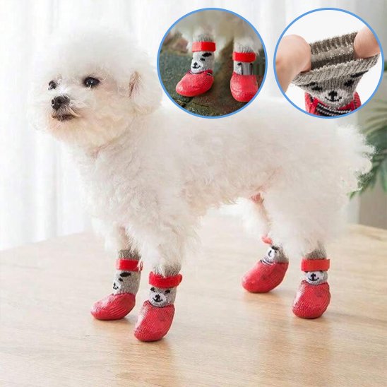 chaussure chien - CuttieTeddy™