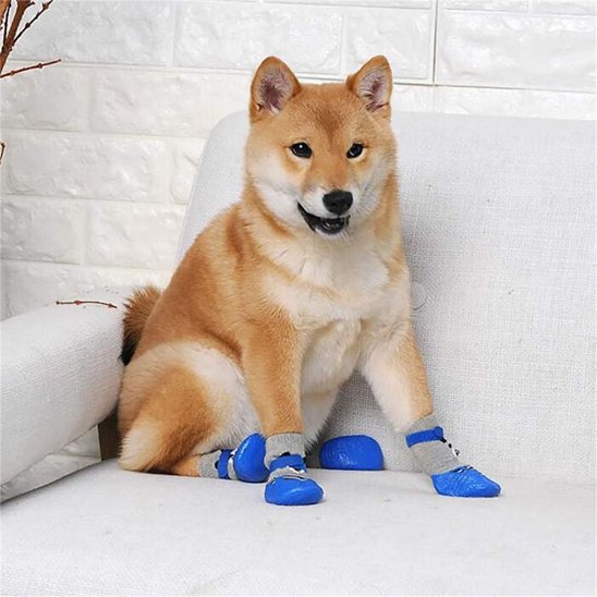 chaussure chien - CuttieTeddy™