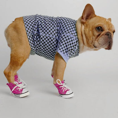 Chaussure Chien - SneakeryDog™