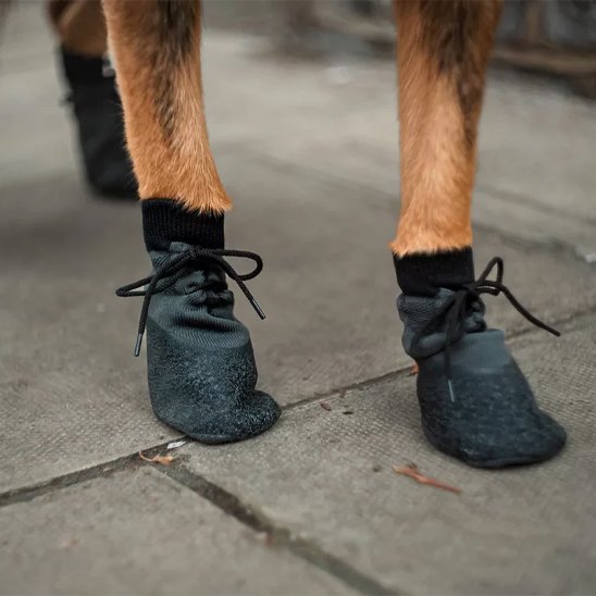 Chaussure Chien - BalerinaStyleShoes™