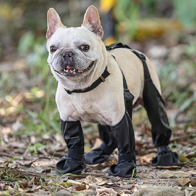 Chaussures chien - UltimateBoot™