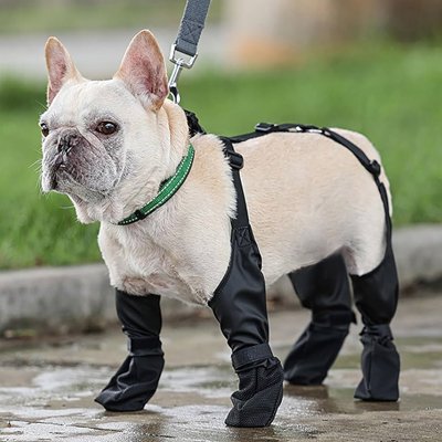 Chaussures chien - UltimateBoot™