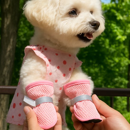 Chaussures chien - CuttieBoots™