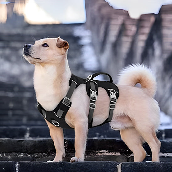 Harnais pour chien | TripleTreat™