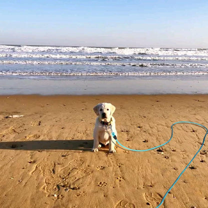 Longe pour chien - Safety-Laisse™