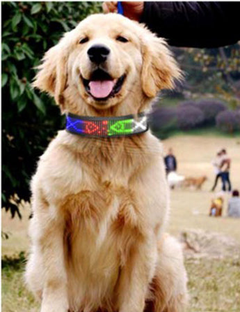 Collier lumineux chien - StunningLumos™
