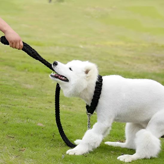 Laisse pour chien - La Torsade™