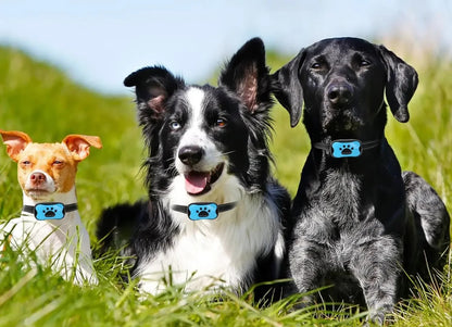 collier anti aboiement - CutieStopBark™ bleu