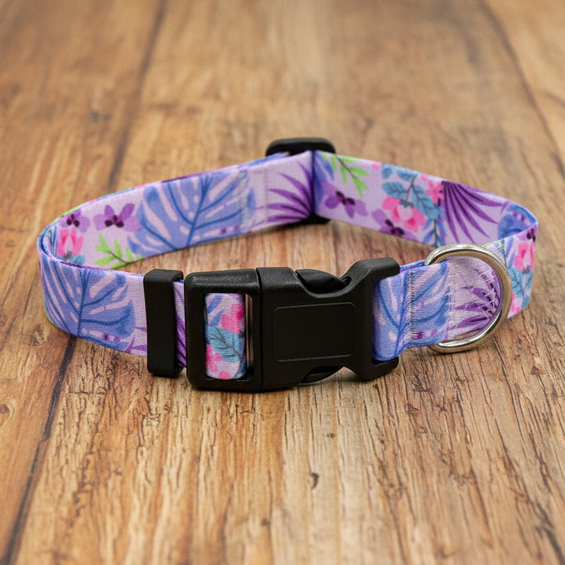 Collier Chien - BeautyDog™ - Ma Promenade avec Toutou