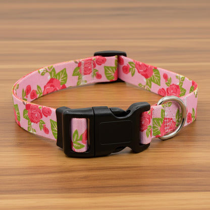 Collier Chien - BeautyDog™ - Ma Promenade avec Toutou