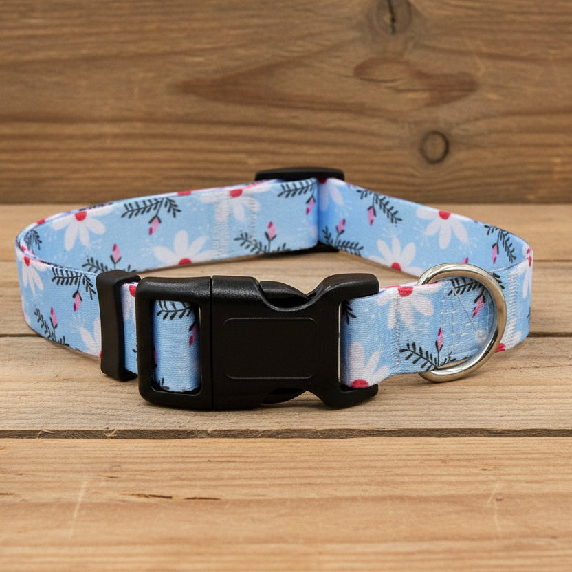Collier Chien - BeautyDog™ - Ma Promenade avec Toutou