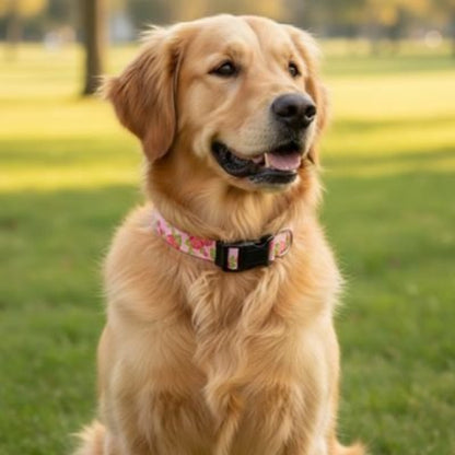 Collier Chien - BeautyDog™ - Ma Promenade avec Toutou