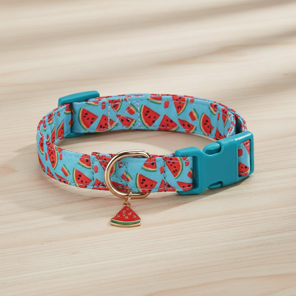 Collier chien - CuttieFrutti™ - Ma Promenade avec Toutou