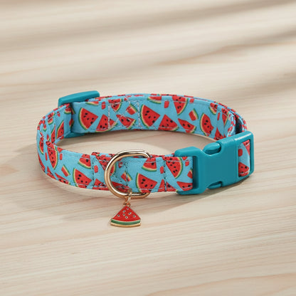 Collier chien - CuttieFrutti™ - Ma Promenade avec Toutou