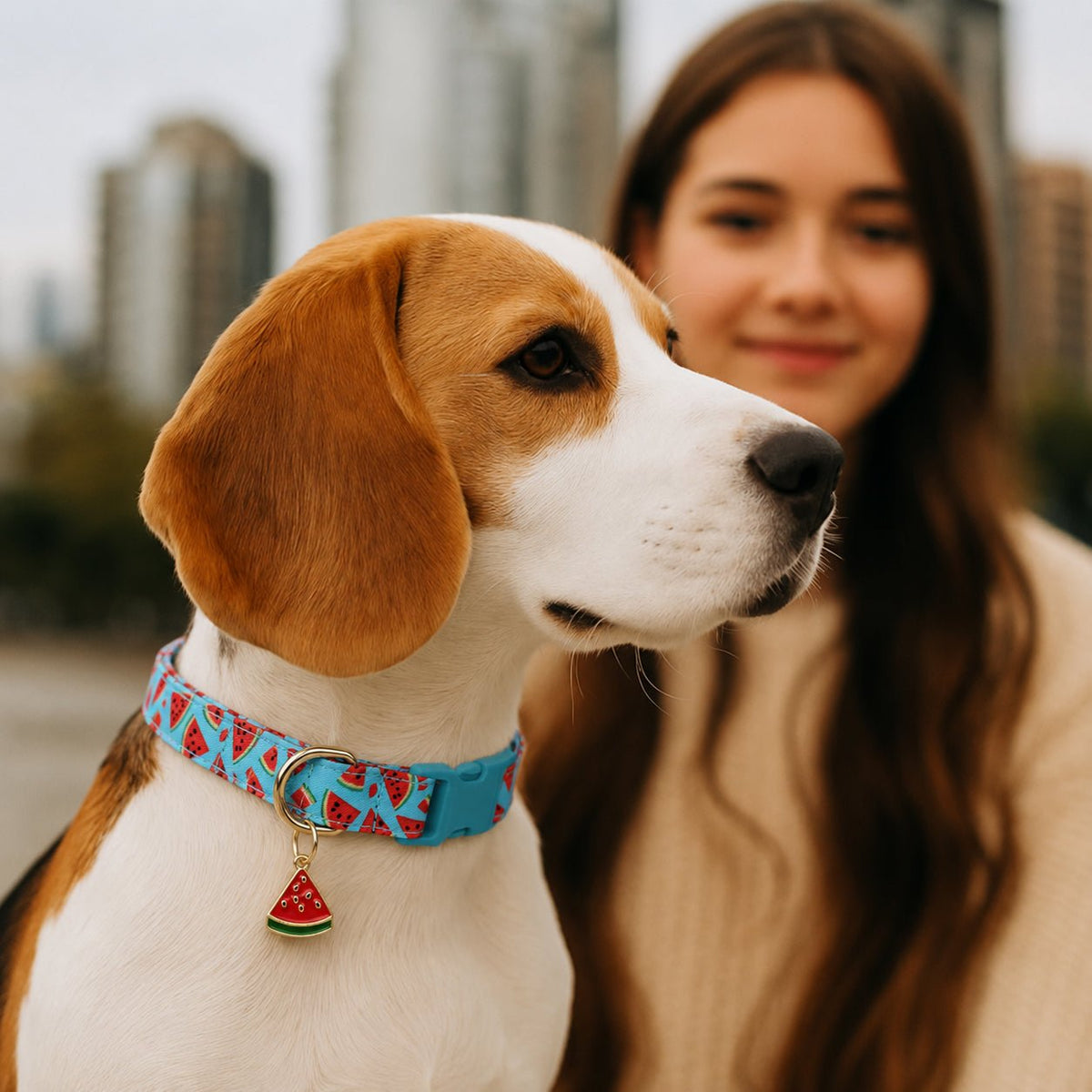 Collier chien - CuttieFrutti™ - Ma Promenade avec Toutou