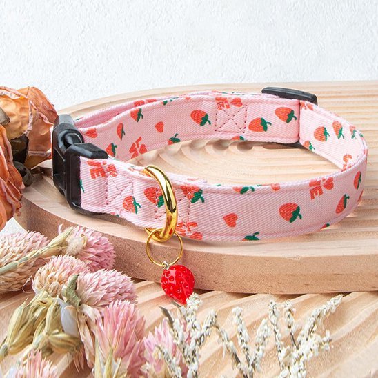 Collier chien - CuttieFrutti™ - Ma Promenade avec Toutou